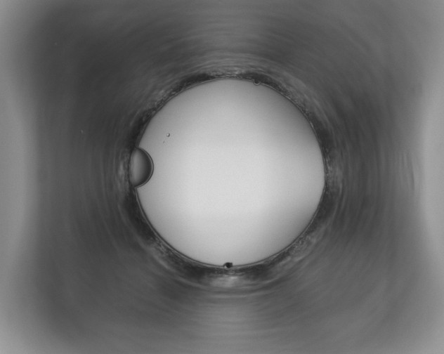 X0000113170460200909040937
