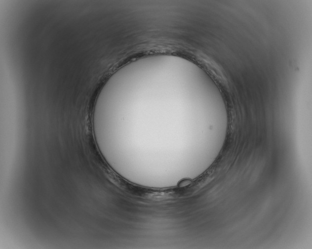 X0000113170465200909040937
