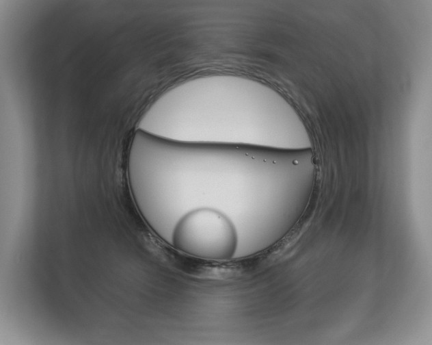 X0000113170466200909040937