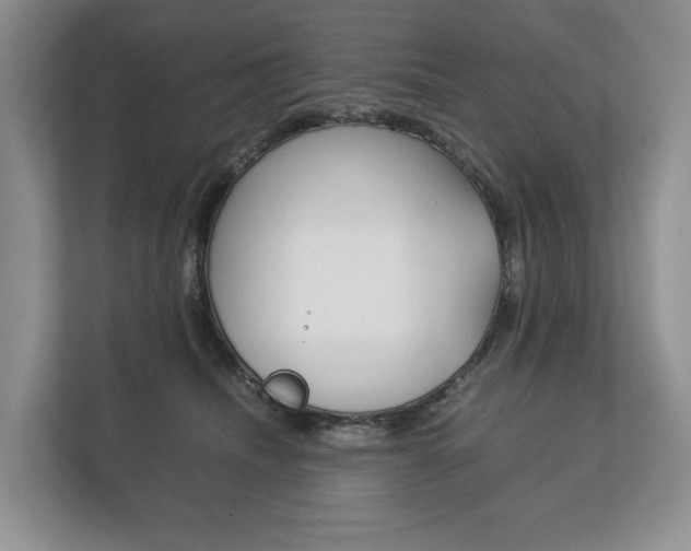 X0000113170468200909040937