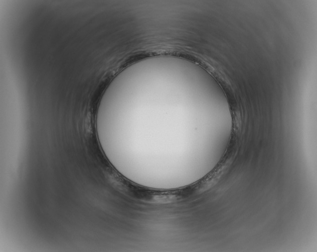 X0000113170470200909040937