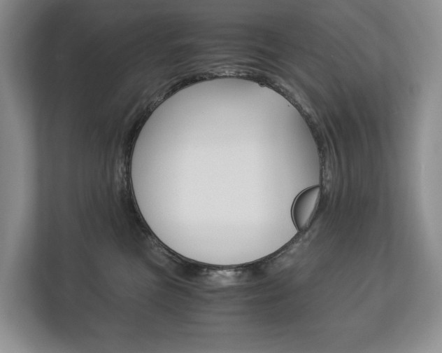 X0000113170473200909040937