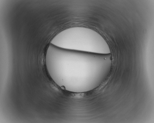 X0000113170474200909040937