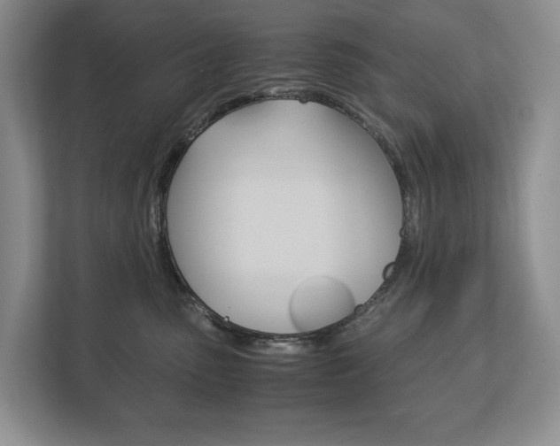 X0000113170475200909040937