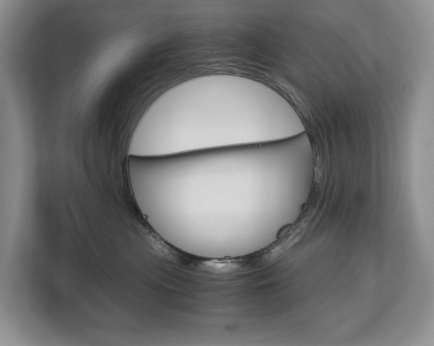 X0000113170477200909040937