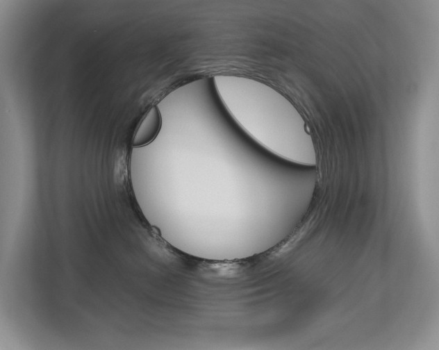 X0000113170478200909040937