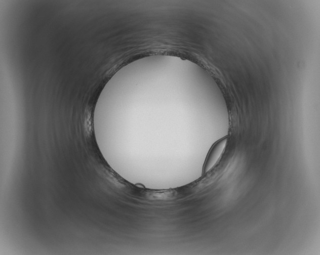 X0000113170479200909040937