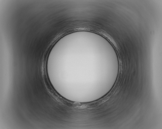 X0000113170482200909040937
