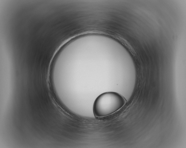 X0000113170484200909040937