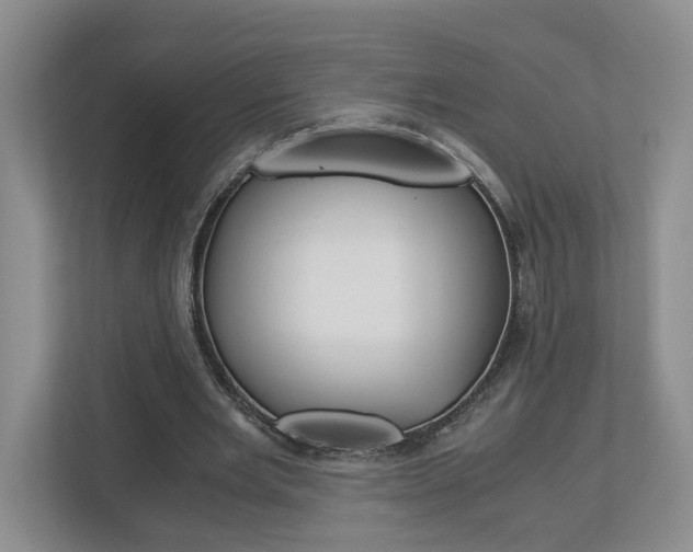 X0000113170485200909040937