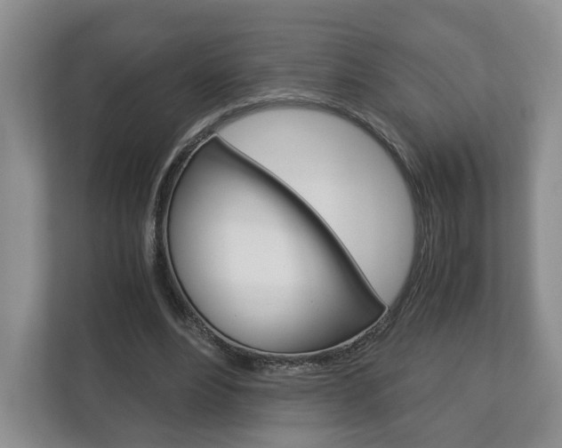 X0000113170488200909040937