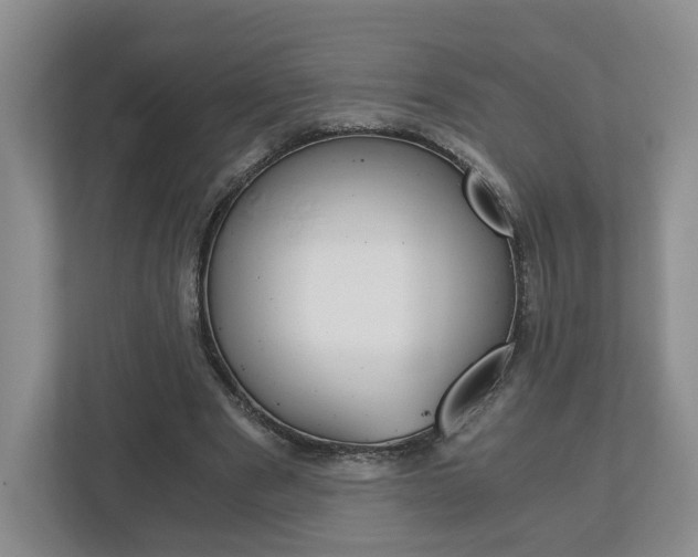 X0000113170489200909040937