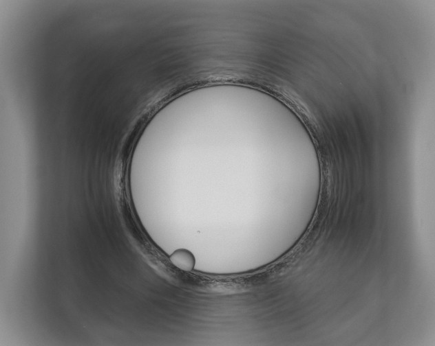 X0000113170490200909040937