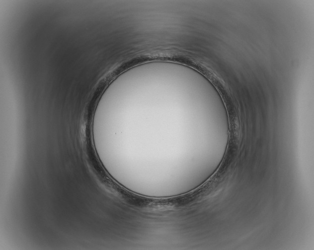 X0000113170491200909040937