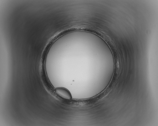 X0000113170492200909040937