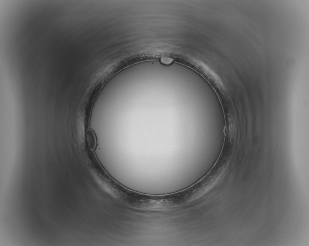 X0000113170493200909040937