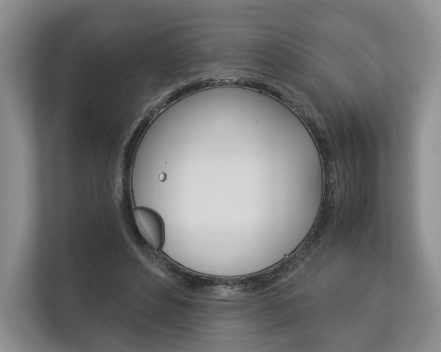 X0000113170496200909040937