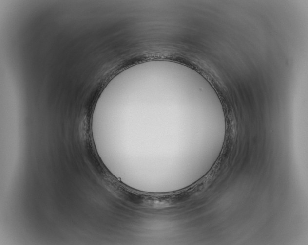 X0000113170498200909040937