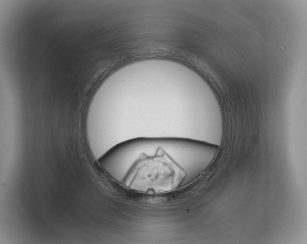 X0000113170501200909040937