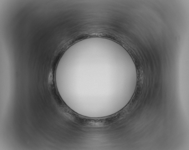 X0000113170502200909040937