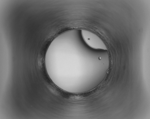X0000113170503200909040937