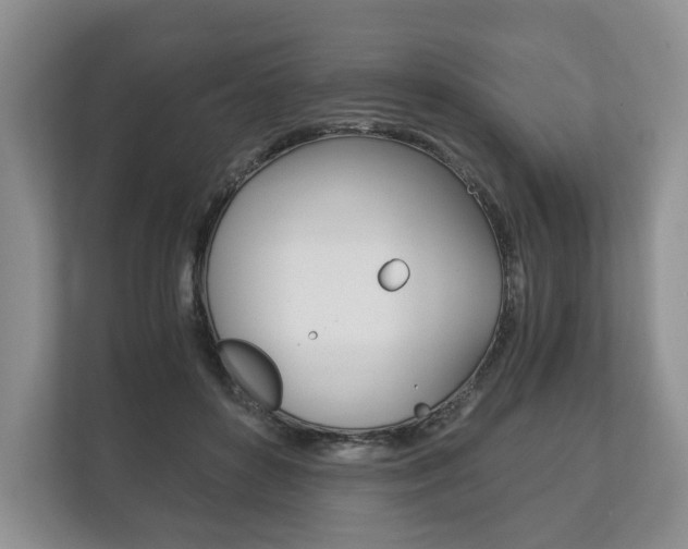 X0000113170504200909040937