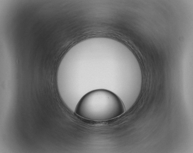 X0000113170505200909040937