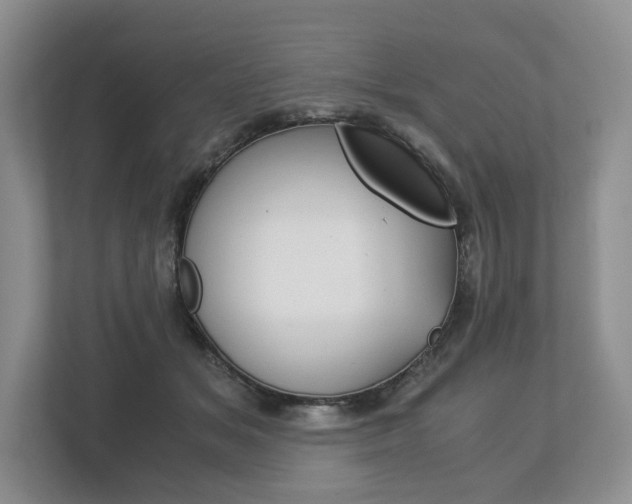X0000113170509200909040937