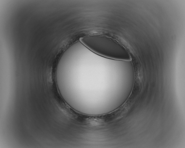 X0000113170512200909040936