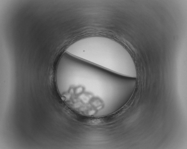 X0000113170513200909040936