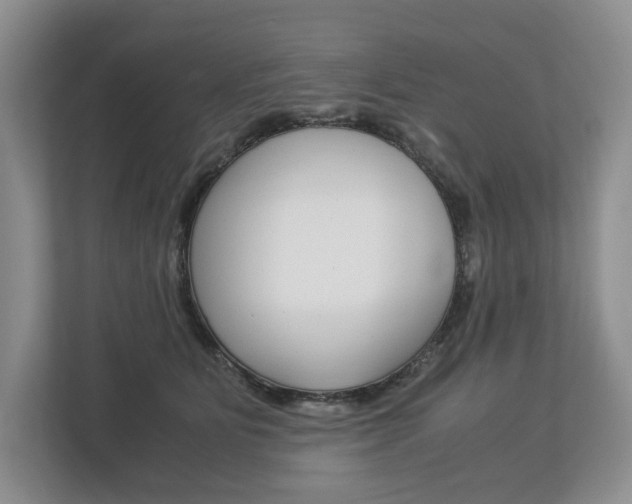 X0000113170515200909040936