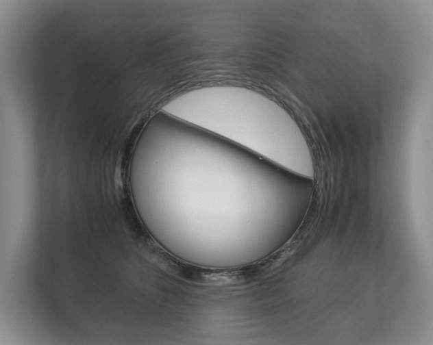 X0000113170516200909040936