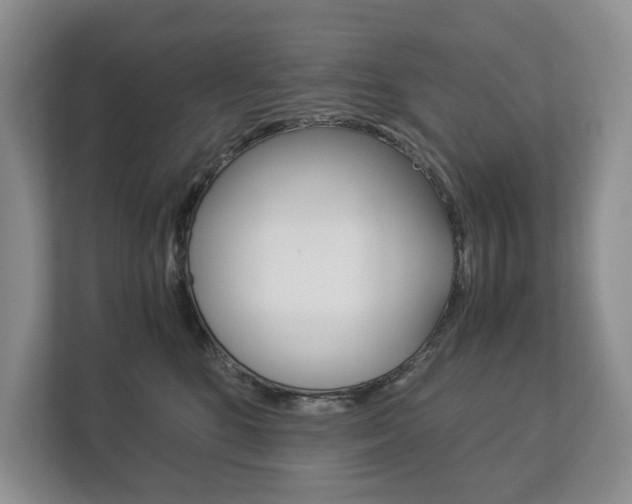 X0000113170520200909040936