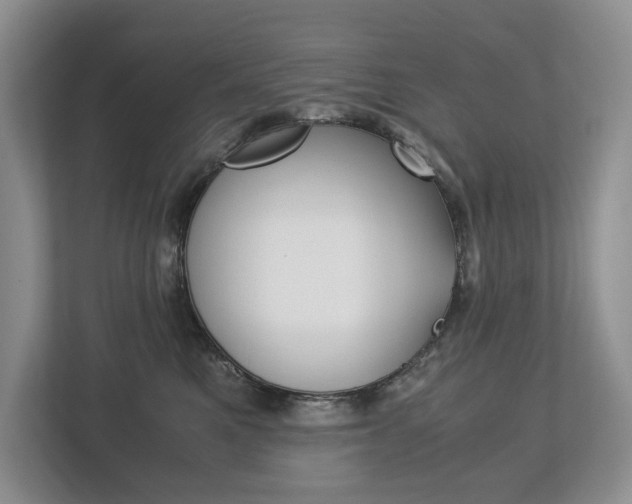 X0000113170521200909040936