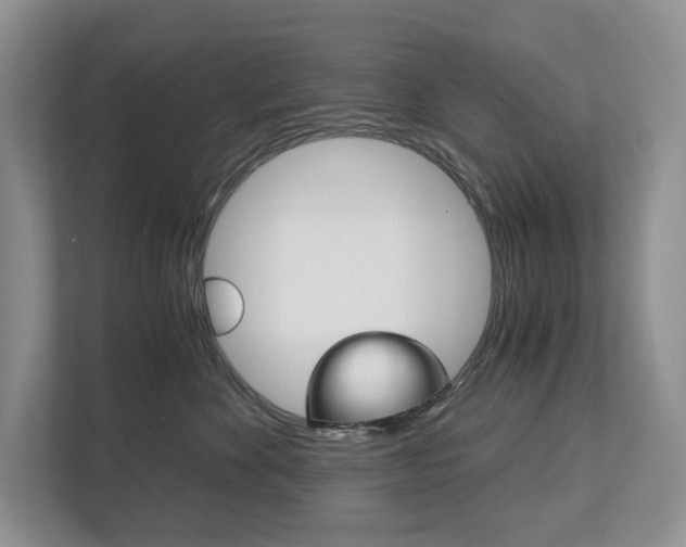 X0000113170524200909040936