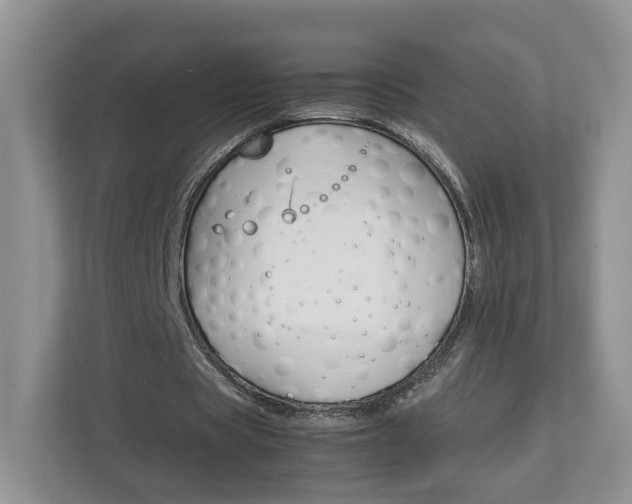 X0000113170529200909040936