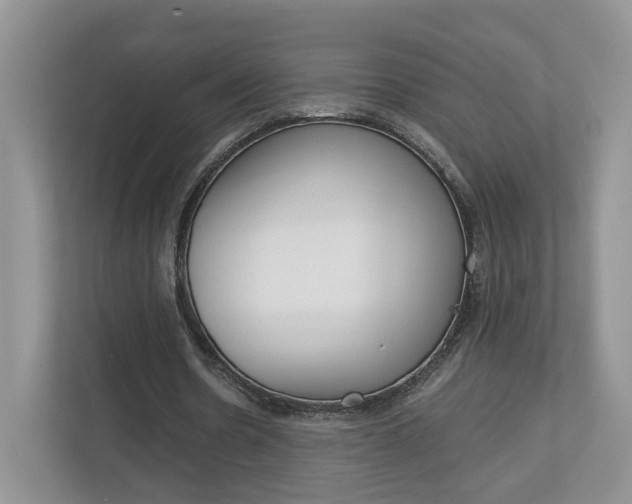 X0000113170530200909040936
