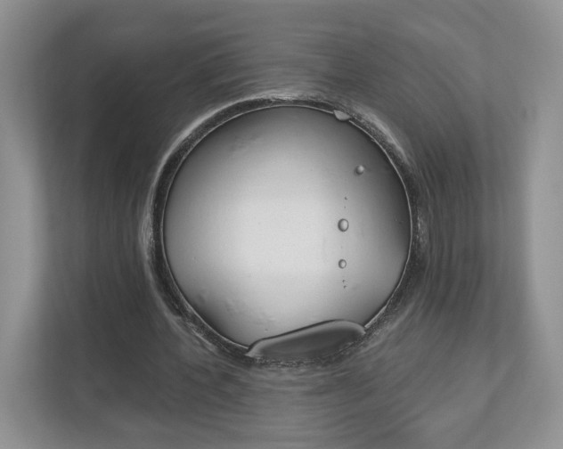 X0000113170532200909040936