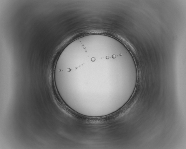 X0000113170533200909040936