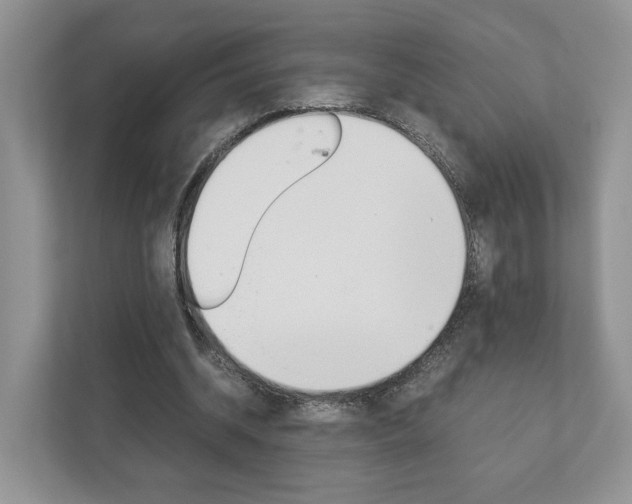 X0000113170534200909040936