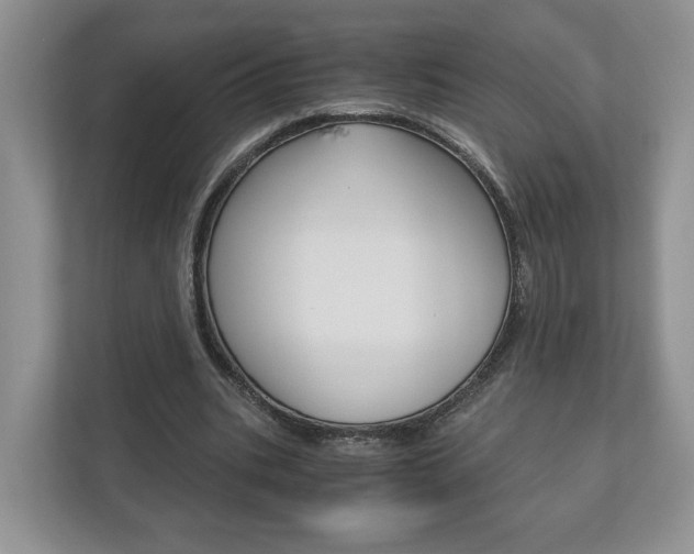 X0000113170535200909040936
