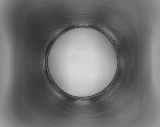 X0000113170537200909040936