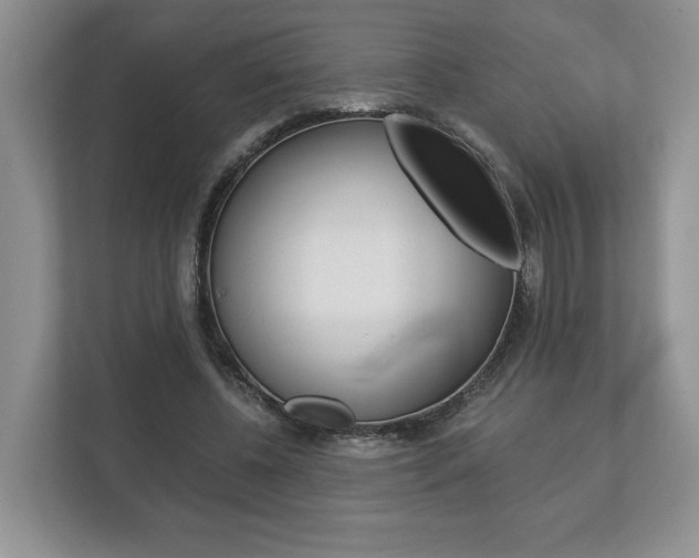 X0000113170540200909040936
