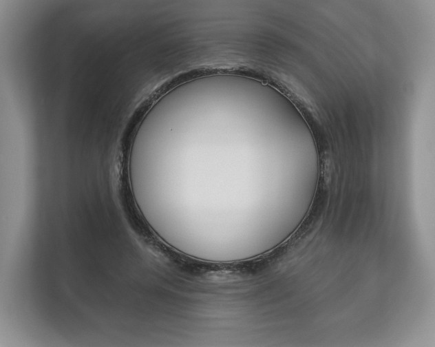 X0000113170544200909040936