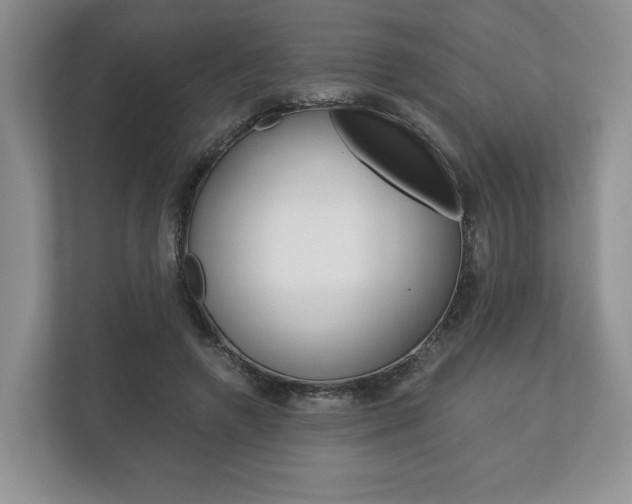 X0000113170546200909040936