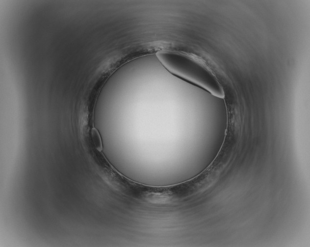 X0000113170548200909040936