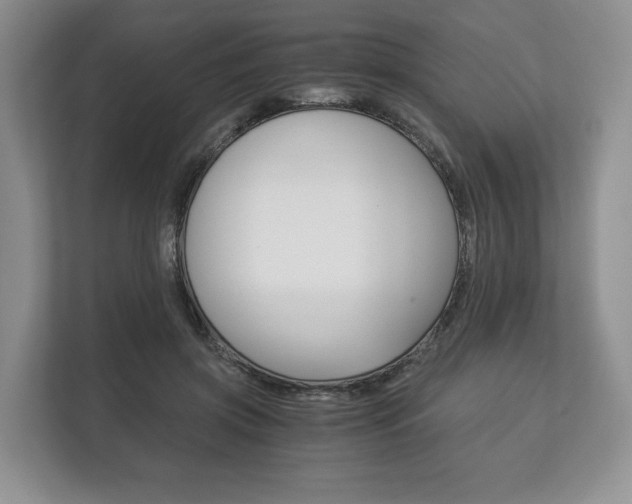 X0000113170549200909040936