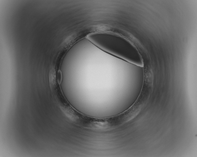 X0000113170552200909040936