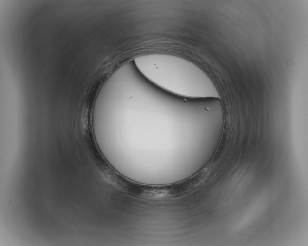 X0000113170554200909040936