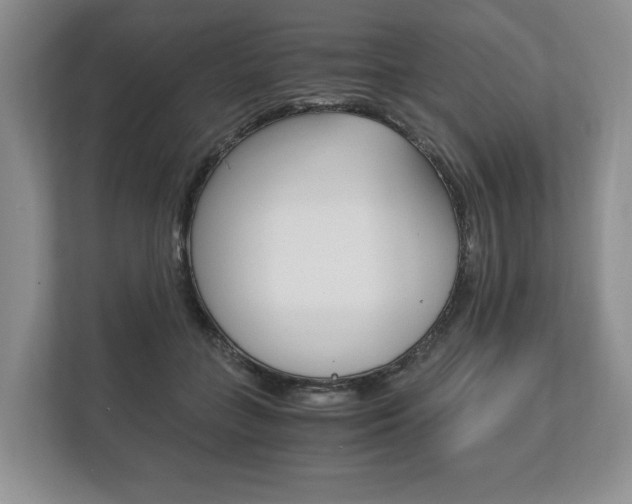 X0000113170555200909040936
